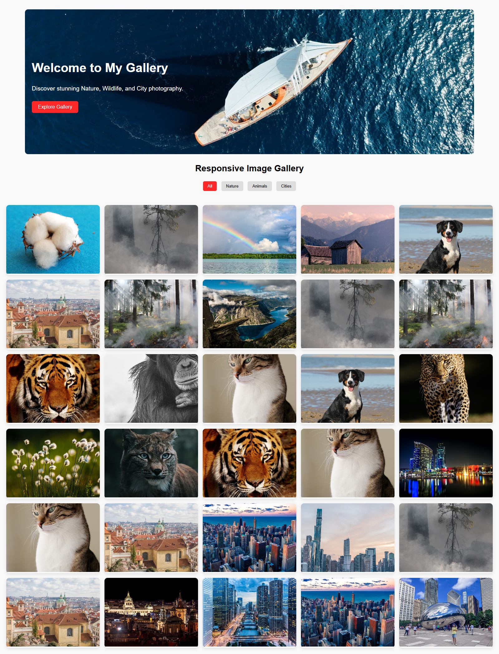 image-gallery